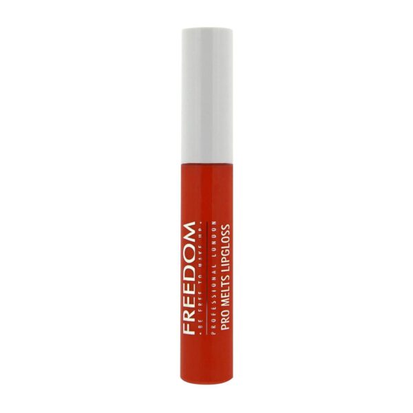 Freedom Pro Melts Lipgloss Sold Out - Image 2