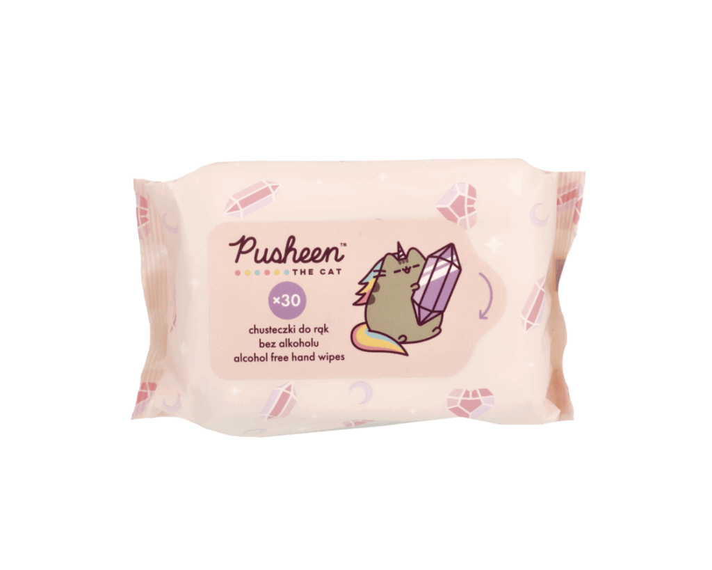 AURA Pusheen Wet Wipes Kosteuspyyhkeet 30kpl